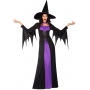 Classic Witch Costume - Adult Womens Halloween Costumes